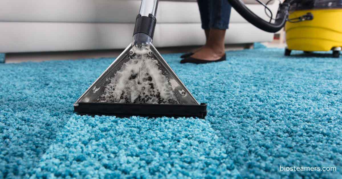 Allergen Removal Carpet Cleaning